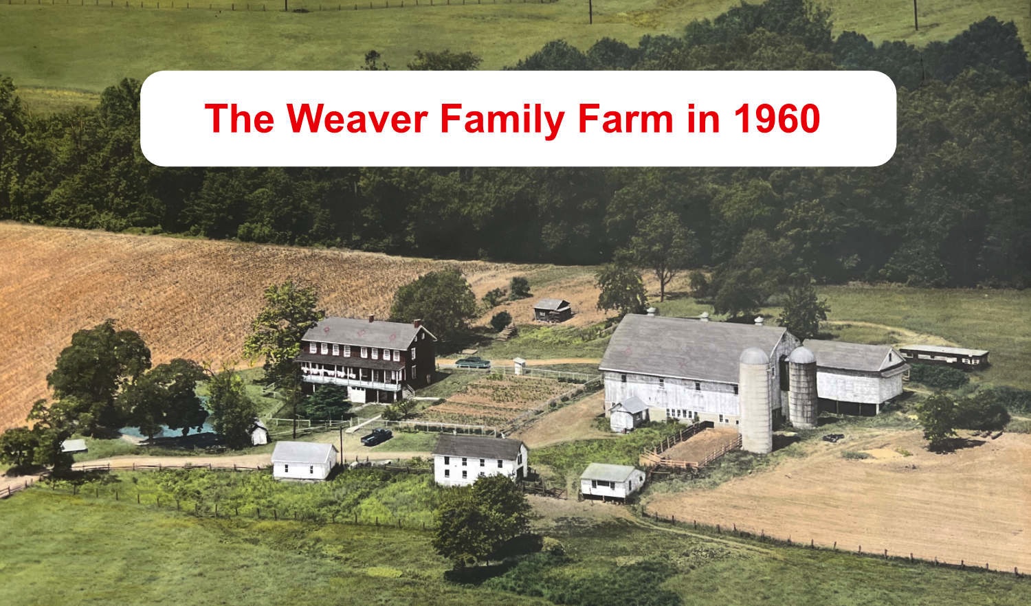 A picture of Weaver Faimly Farms in 1960.